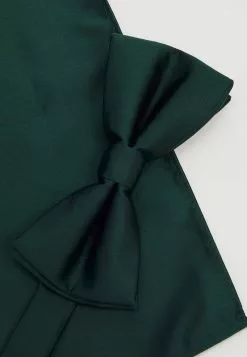 Pier One SET - Einstecktuch - Dark Green -Pier One Geschäft 4d0bb2494c754589bb4fbf5c32c6c2db